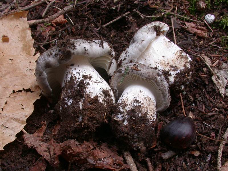 Prima escursione in montagna